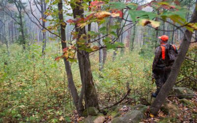 Pennsylvania to phase in Sunday hunting in state parks with three dates this fall