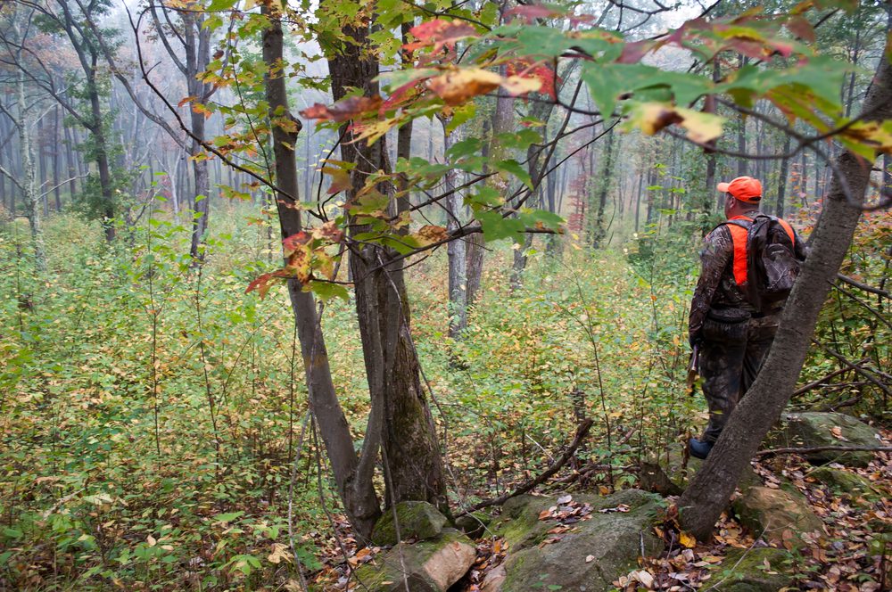 Hunting in Pennsylvania Lawmakers advance proposal to greatly expand Sunday hunting in Pennsylvania