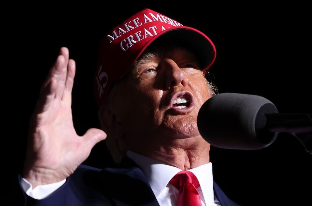 We asked, you answered: How do you feel about the 2024 election results
