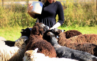 This young farmer in PA got job training from a USDA program — and it’s on Trump’s chopping block