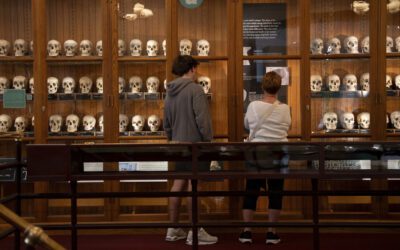 Medical museum in Philadelphia overhauls policies on human remains to meet modern ethical standards