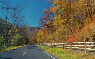 ‘Ooh’ and ‘ah’ at fall foliage on Pennsylvania’s prettiest autumn drives